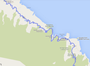 Google map of the wiggly road on the highway to Hana